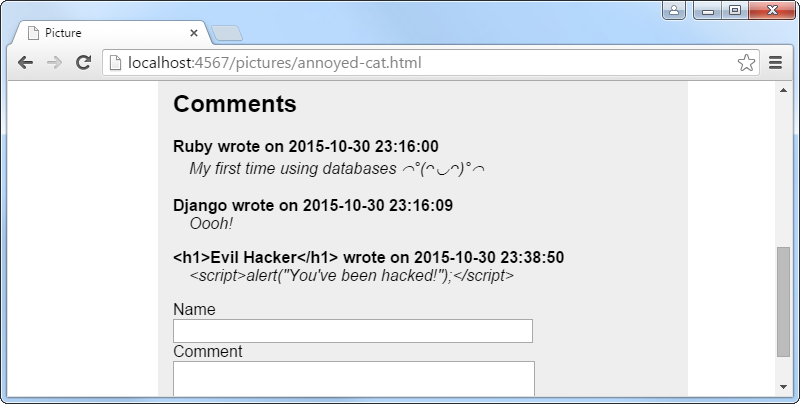 Secured commenting feature